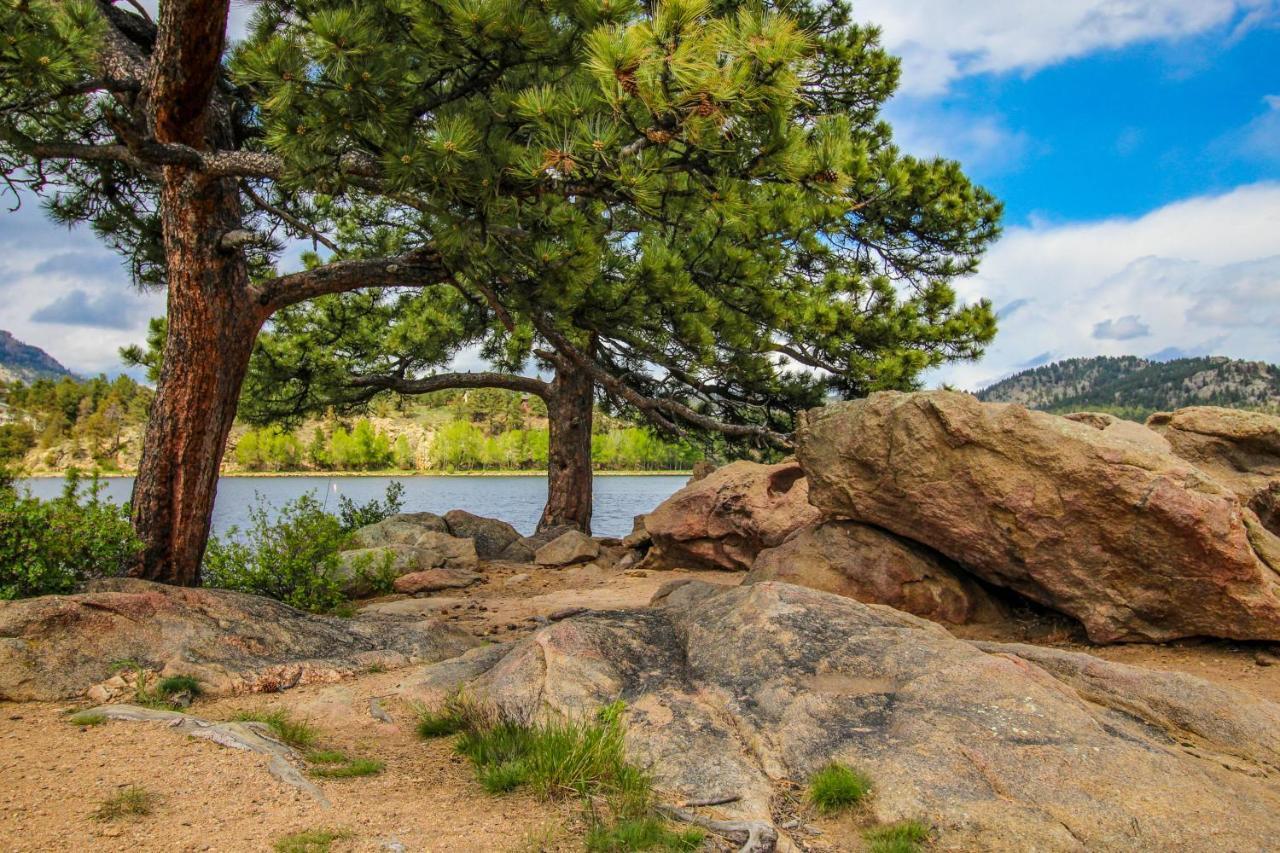 Twin Pines Cabin Estes Park Ngoại thất bức ảnh